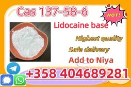 CAS 137-58-6 Lidocaine high quality good price  